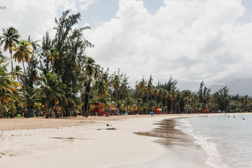 Ein von Palmen gesäumter Sandstrand schlängelt sich am ruhigen, hellblauen Wasser entlang. In der Ferne schwimmen Menschen, und zwischen den Bäumen sind bunte Gebäude zu sehen - perfekt eingefangen von einem talentierten Werbefotografen. Der Himmel ist teilweise bewölkt.