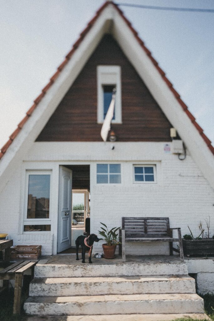 Ein schwarzer Hund steht auf der Eingangstreppe eines weißen Hauses mit rotem Dach. Die offene Tür gibt den Blick frei auf eine gemütliche Szene, die ein Familienfotograf perfekt einfangen kann. Eine Holzbank und eine Topfpflanze stehen in der Nähe des Eingangs unter einem klaren Himmel.