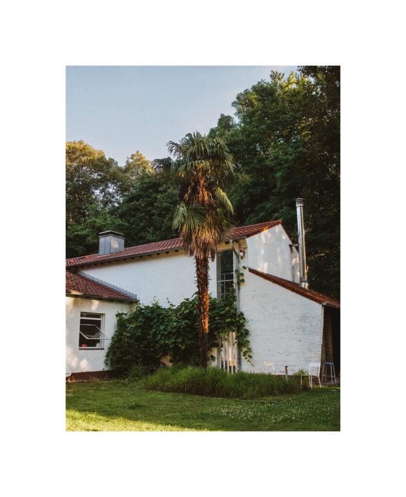 Ein weißes Haus mit rotem Ziegeldach steht neben einer hohen Palme, umgeben von üppigem Grün. Das Sonnenlicht wirft einen warmen Schein auf das Gebäude, in dem zwei weiße Stühle stehen - perfekt für einen Familienfotograf oder Kinderfotograf in Köln.