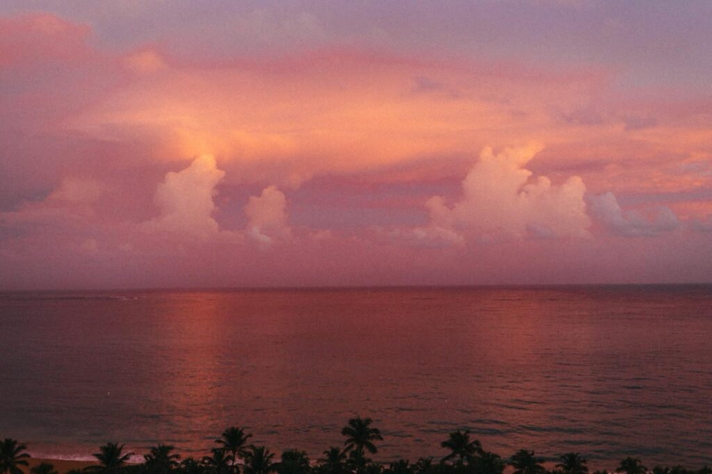 Ein ruhiger Ozean bei Sonnenuntergang, in dem sich rosa und orangefarbene Wolken am Himmel spiegeln. Silhouetten von Palmen säumen das Ufer, eingefangen von einem erfahrenen Fotograf Köln in einem ruhigen, malerischen Moment.
