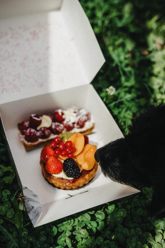 Ein neugieriger schwarzer Hund schnüffelt an einer geöffneten weißen Schachtel mit zwei mit Erdbeeren, Brombeeren und Johannisbeeren bestückten Gebäckstücken, während ein Kinderfotograf den Moment auf dem saftig grünen Gras festhält.