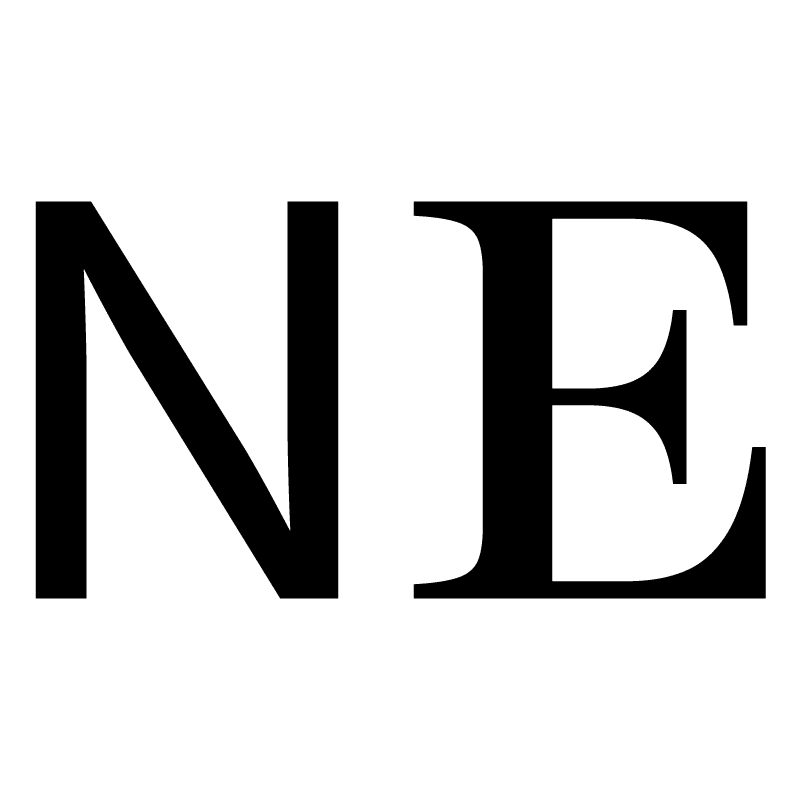 Nancy Ebert Favicon Logo