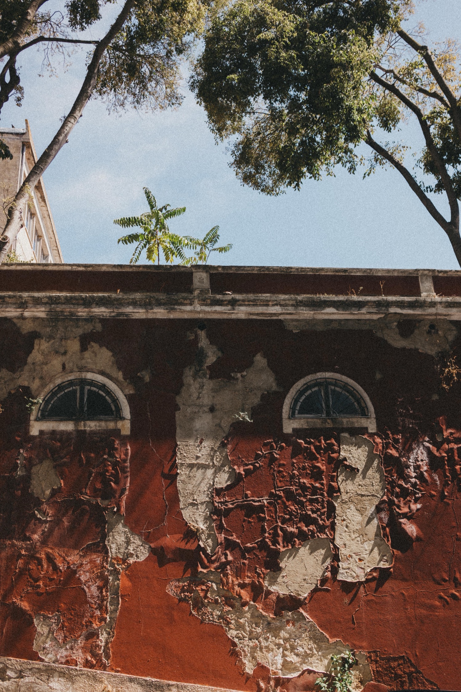 Eine verwitterte rote Wand mit abblätternder Farbe und zwei kleinen Bogenfenstern, eingefangen von einer Fotografin des Fotostudios Köln, unter belaubten Bäumen und einem klaren blauen Himmel.